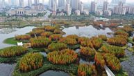 Park u Kini dokaz da je moguće uskladiti potrebe ljudi i očuvati životnu sredinu
