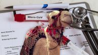 Three common symptoms of camel flu that anyone returning from World Cup should pay attention to