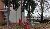 Nesvakidašnja akcija niških urgentnih službi: Udružili se da spasu macu zaglavljenu na drvetu
