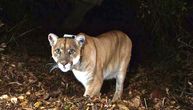 Otišao je omiljeni holivudski lav: Živeo deceniju u Los Anđelesu, uspavan zbog ozbiljnih povreda