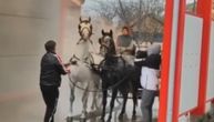 Muke životinja u perionici u Ugrinovcima: Uzeo pištolj za pranje i po hladnoći okupao sirote konje