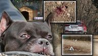 Određen pritvor Violeti: Hranila pse koji su do smrti izujedali Vladana