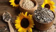 Hrskave semenke nisu samo omiljena grickalica: Zdravstveni benefiti sitnog ploda suncokreta