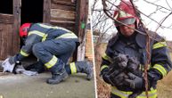 Zrenjaninski vatrogasci pokazali veliko srce: Ušli u jamu duboku 5 metara i spasili dva šteneta
