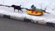 Pas vuče dete na sankama po trotoaru, a otac trči za njima: Ne dao im Bog da majka vidi ovaj snimak