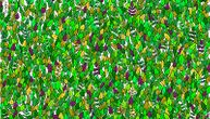 Pronađite žabu u gomili lišća: Skrivalica zbog koje korisnici društvenih mreža gube živce