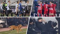 Detalji s Partizanove bruke koje niste videli na TV-u: Agonija Petrića, loža Humske, pas na terenu...