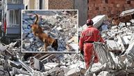 U toku je akcija spasavanja žive osobe ispod ruševina: Srpski pas Zigi je nanjušio, ovo su slike s lica mesta