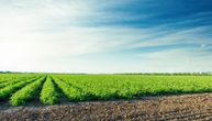 Isplata subvencija po hektaru počinje 24. aprila: Rekordan rok