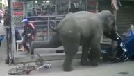 Pobesneli slon rušio i gazio sve pred sobom nasred ulice, ljudi izbezumljeno bežali