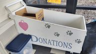 Prelepa crno-bela mačka Bajoneta pronađena u kutiji za donacije!