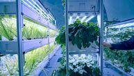 Francuzi razvijaju kapsulu za uzgoj biljaka na drugim planetama: Smanjuje potrebu za vodom i zemljištem za 99%