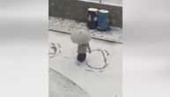 Njoj zima ne može ništa: Devojčica iz Sjenice uživa u snegu, na ulici ostavila prelepe tragove