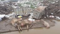 Pun kontejner leševa uginulih životinja, a oko njega još veći horor: Otužna scena na deponiji u Slepčeviću