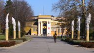 The palm trees of Kalemegdan in Belgrade are still in their winter clothes: "Dressed up" from root to top