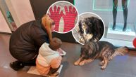 Luka izgubio Spajdermen rukavicu, našao je i doneo mu napušteni pas: Neverovatna priča iz Zemuna
