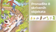 Pronađite 8 skrivenih objekata na slici, imate samo 10 sekundi: Krenite odmah