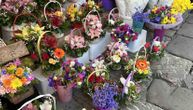Beogradske pijace prava mesta i za kupovinu cveća