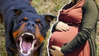 Poznato stanje trudnice koju su napali psi lutalice u Novom Pazaru: Zadobila ujede na obe noge