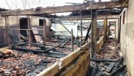 Traži se odbegli bik od 400 kila u okolini Čačka: Preživeo stravičan požar u Konjevićima, sad mu nema ni traga