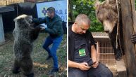 Maša i Ljubica obožavaju ljude, a prave i nestašluke: One su najpitomije i najumiljatije medvedice na Balkanu