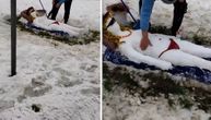 Uprkos zimi i snegu: Beograđanin izvajao vitku "snežnu damu" koja se "sunča" u Bloku 21