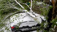 Nezapamćeno nevreme ostavilo velike posledice: Skoro 400 prijava za obrušena stabla, do odštete u 2 koraka