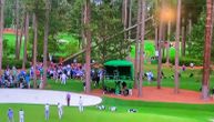 Izbegnuta tragedija na golf turniru u SAD: Pala tri stogodišnja stabla među publiku, srećom nema mrtvih