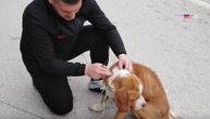 "Ne morate da ih volite, ali nemojte da ih maltretirate": Pas u Ivanjici ostavljen vezan za saobraćajni znak