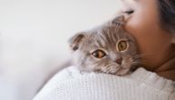 Razvode se zbog mačke: Muž je poklonio njenog omiljenog ljubimca bez njene dozvole i ona ne može da mu oprosti
