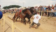 Gizdavi konji se "vraćaju u modu": Održana druga Štraparijada kod Milanovca, nadmetanje u 4 kategorije