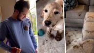 Psi se zaigrali i napravili haos: Cela kuća u blatu zajedno sa vlasnikom
