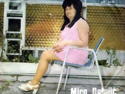 Mica trofrtaljka zvezda Diskosa iz Aleksandrovca