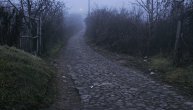 Vozač iz BiH snimio neverovatan trenutak: Zver trčala po putu, pa nestala u šumarku, mreže "gore"