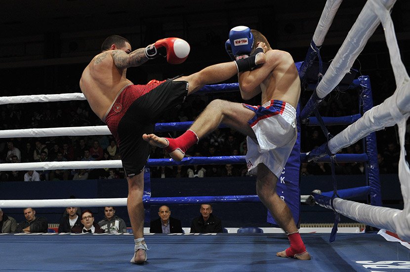 Kik boks Serbia Open 2014