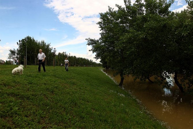 Poplave na Novom Beogradu, Savski kej