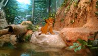 Lion King proglašen za najbolji crtani film svih vremena (VIDEO)