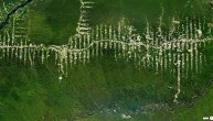 Samo prošle godine ostali smo bez 12 miliona hektara tropskih šuma: Ekolozi ukazuju na ozbiljnu opasnost koja nam preti