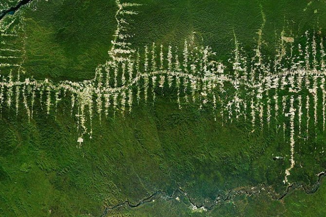 Kišne šume, Brazil