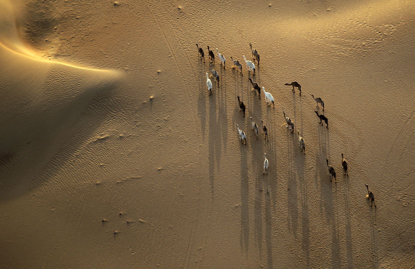 Cepelini nad Margam pustinjom