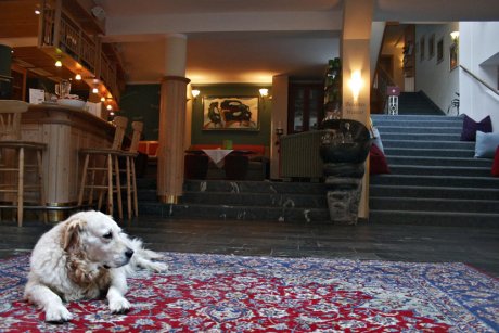 Hotel Eschenhof, Bad Klajnkirhajm - Bad Kleinkirchheim - Austrija