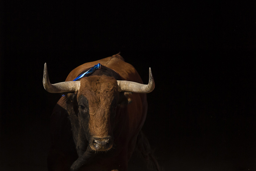 Drama u Sevilji: Bik zadao ozbiljnu povredu poznatom matadoru na nezgodnom mestu, snimak obišao internet