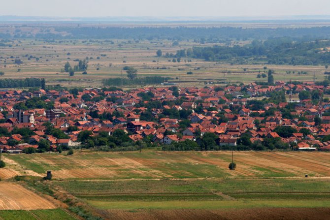 Vinograd, manastir Bukovo, Negotin, panorama grada
