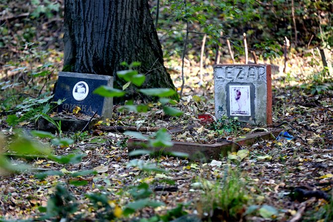 Groblje kucnih ljubimaca