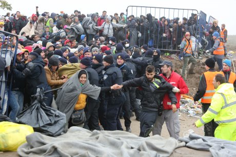 Izbeglice, migranti, Berkasovo, granica Srbija Hrvatska