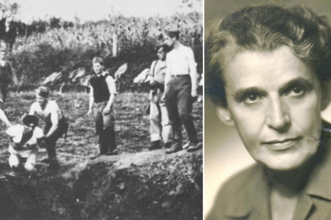 Diana Budisavljević, Jasenovac