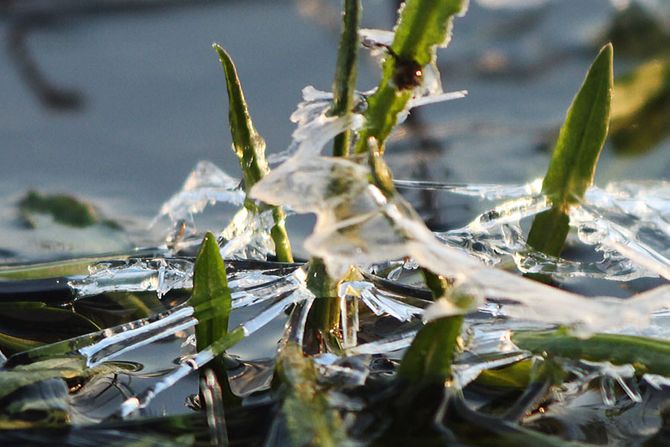 Jutarnji mraz u Srbiji Jutarnji mraz u Srbiji