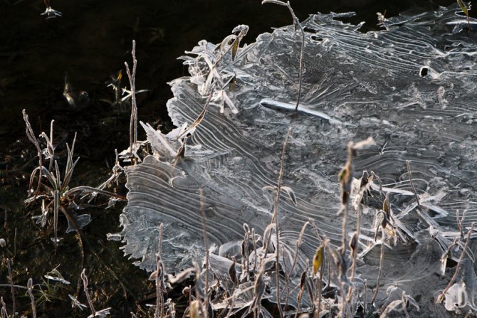 Jutarnji mraz u Srbiji