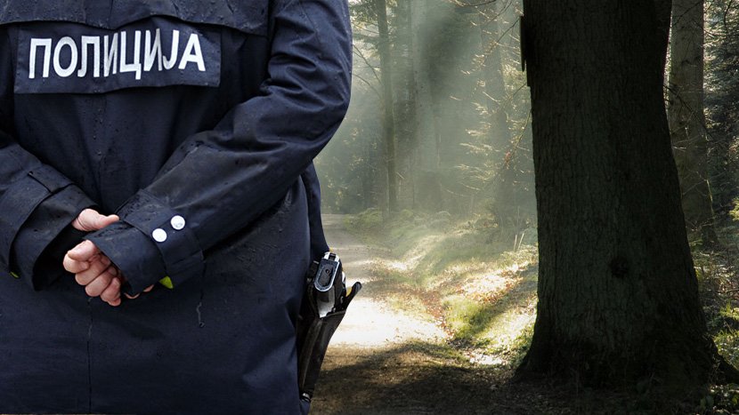 Policija, šuma, drvo