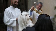 Nekoliko pasa je lajalo, ali je većina strpljivo čekala da ih pop blagosilja: Španci obeležili Svetog Antonija